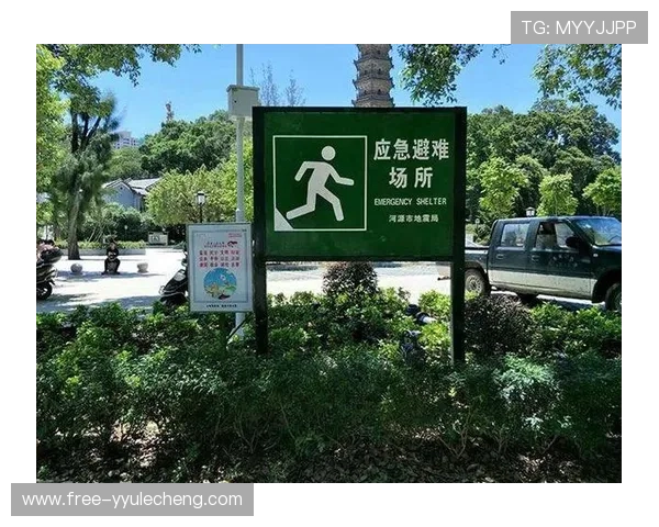 电子真人下载注册账号后续管理与维护指南，确保账号安全与正常使用